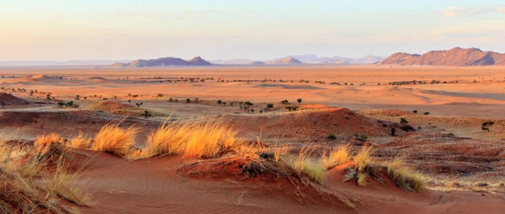 flynamibia-3 We are a proudly Namibian airline dedicated to our nation
